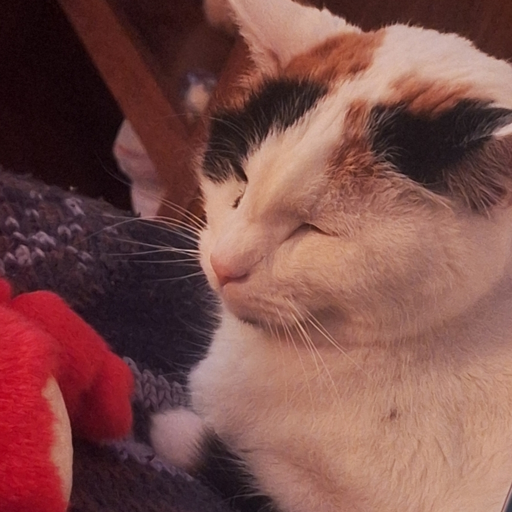 Meet your Posher, Teagan